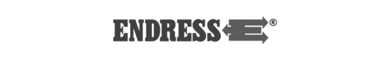 endress grayscale logo